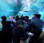 Teachers Learn About Sea Exploration